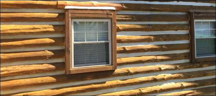 Log Home Whole Log Replacement 